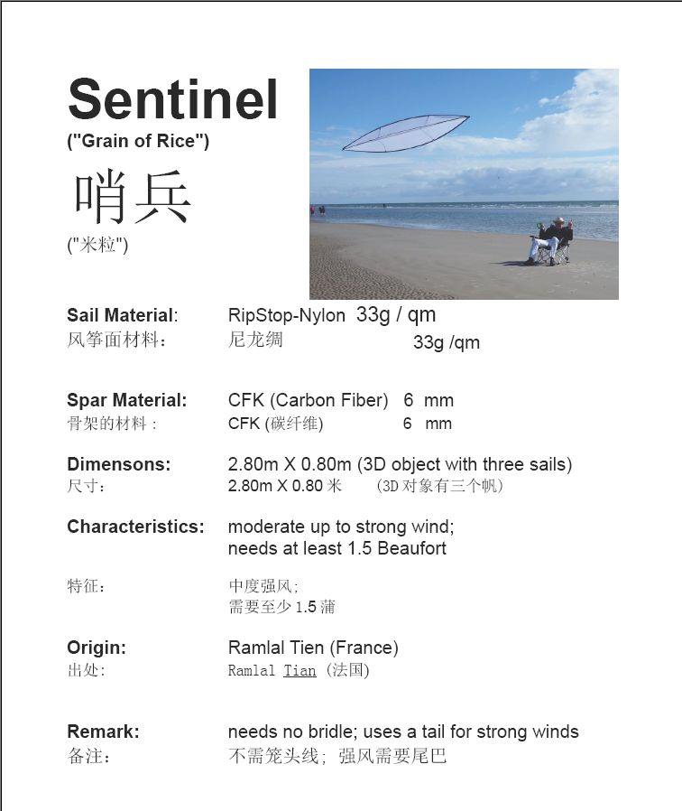 Sentinel, a
                    non-bridle-line kite