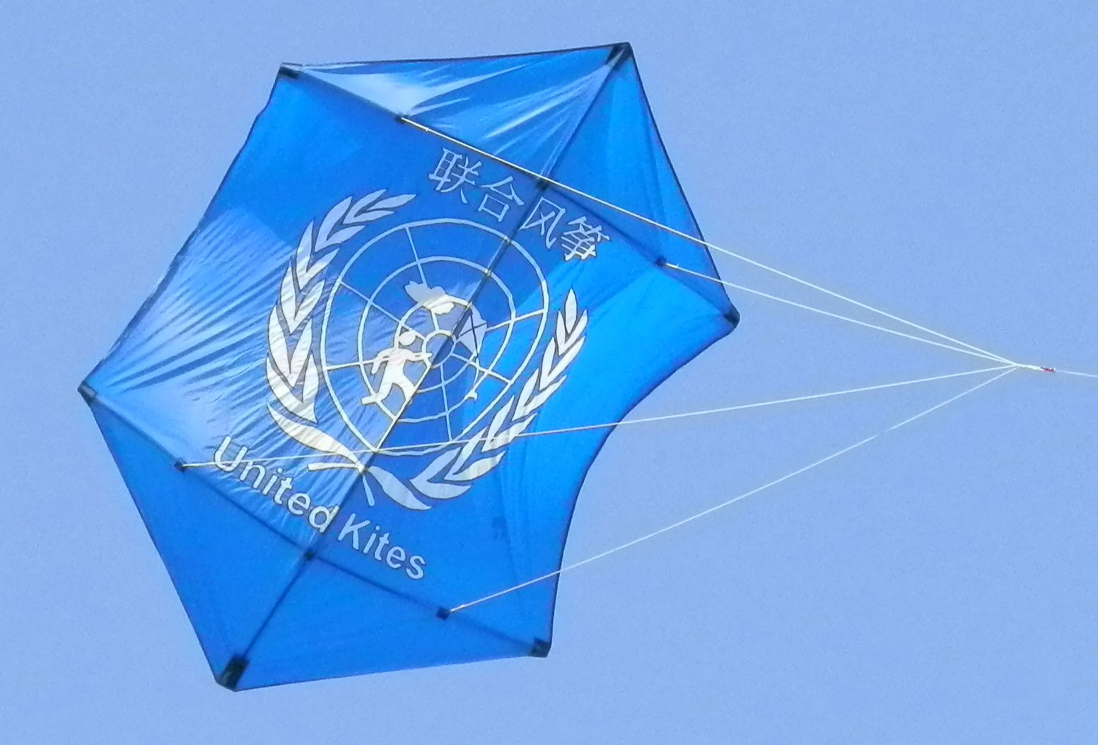 United Kites Logo Kite