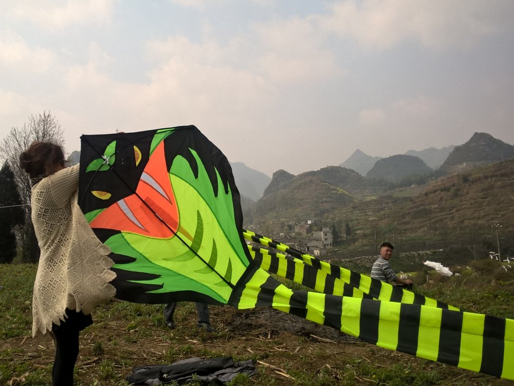 HUANG
                    YunFen handling a lare Snake Kite (LiuZhi,
                    QingMingJie 2017)
