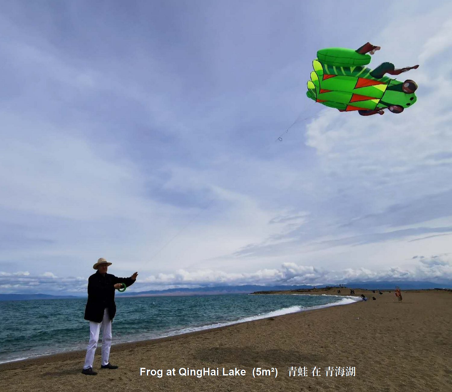 Frog (QingWa) at
                  QingHai Lake