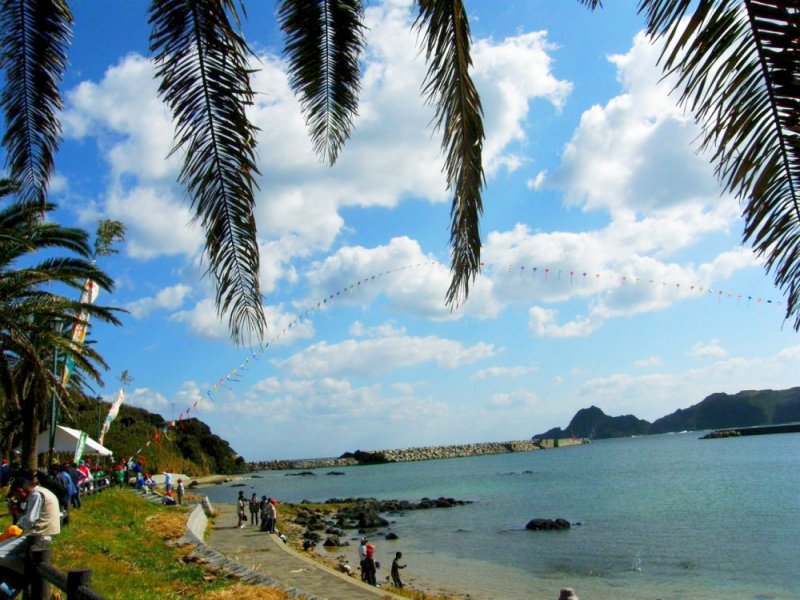 Internationa Kite Arc
                    Spanning Mishima Harbour