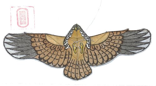 Turmfalke (TianJin) / Kestrel (TianJin)