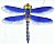 Blaue Libelle (TianJin) / Blue
                              Dragonfly (TianJin)