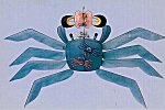 Krabbe - "Crab Kite"