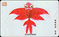 1998-4_CNT-IC-11-1-4(4-2)
                                Rueckseite / BackFace